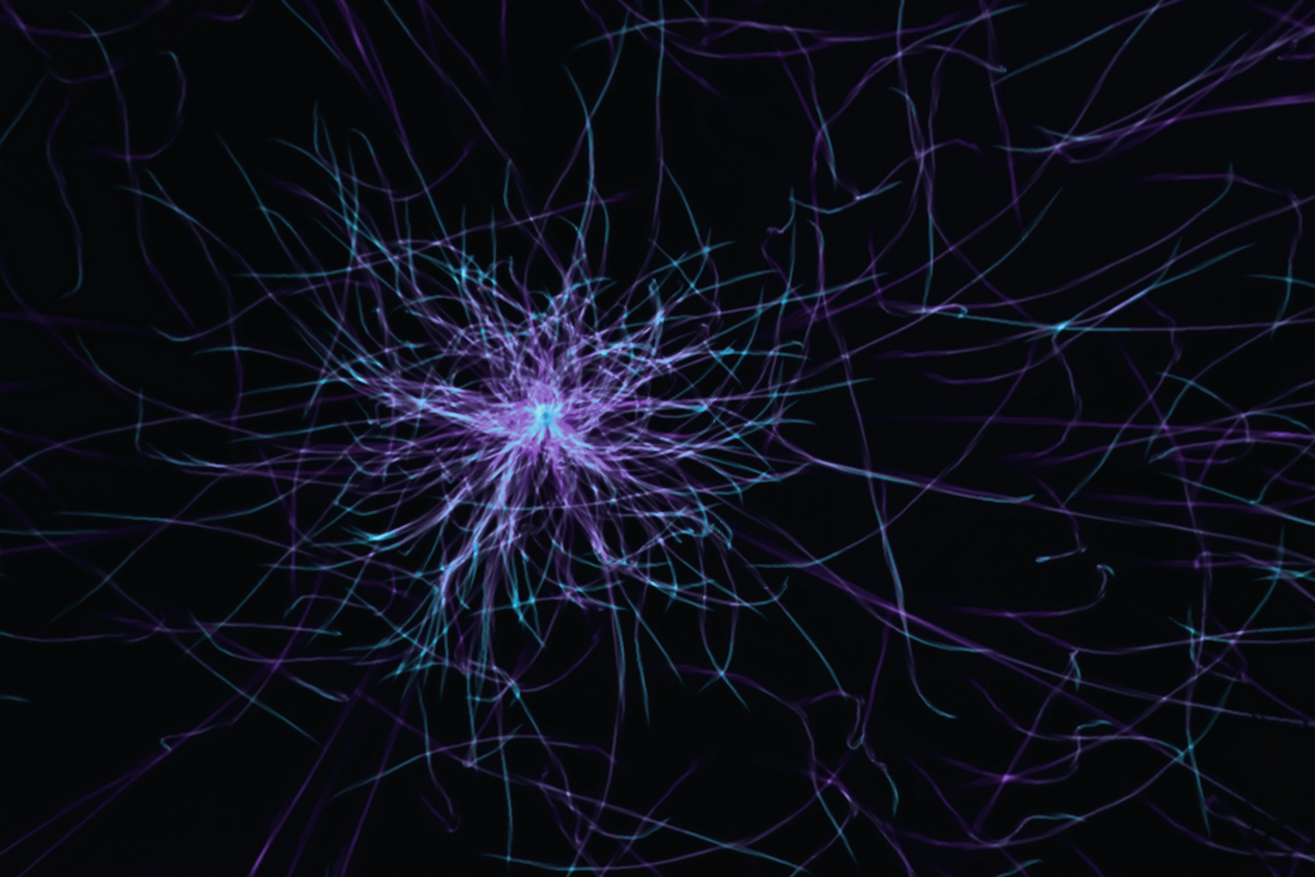 Neural network metaphor